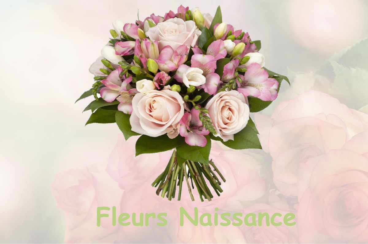 fleurs naissance GIRAUVOISIN