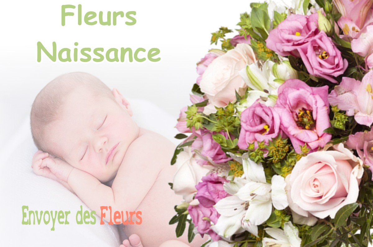 lIVRAISON FLEURS NAISSANCE à GIRAUVOISIN